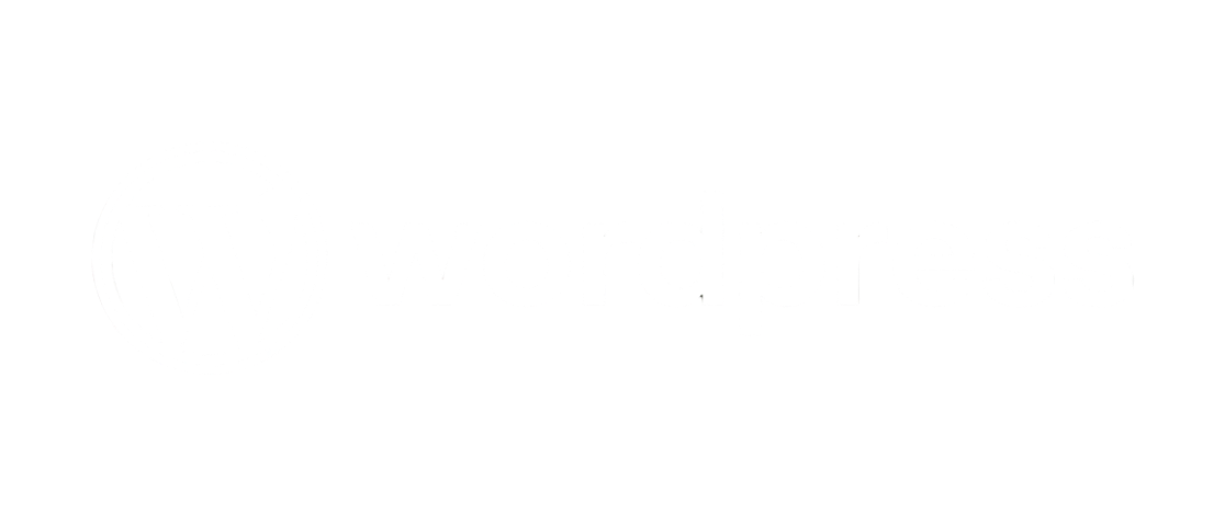 seo pour WordPress
